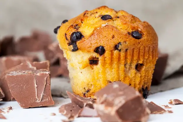 Muffin Gotas Chocolate